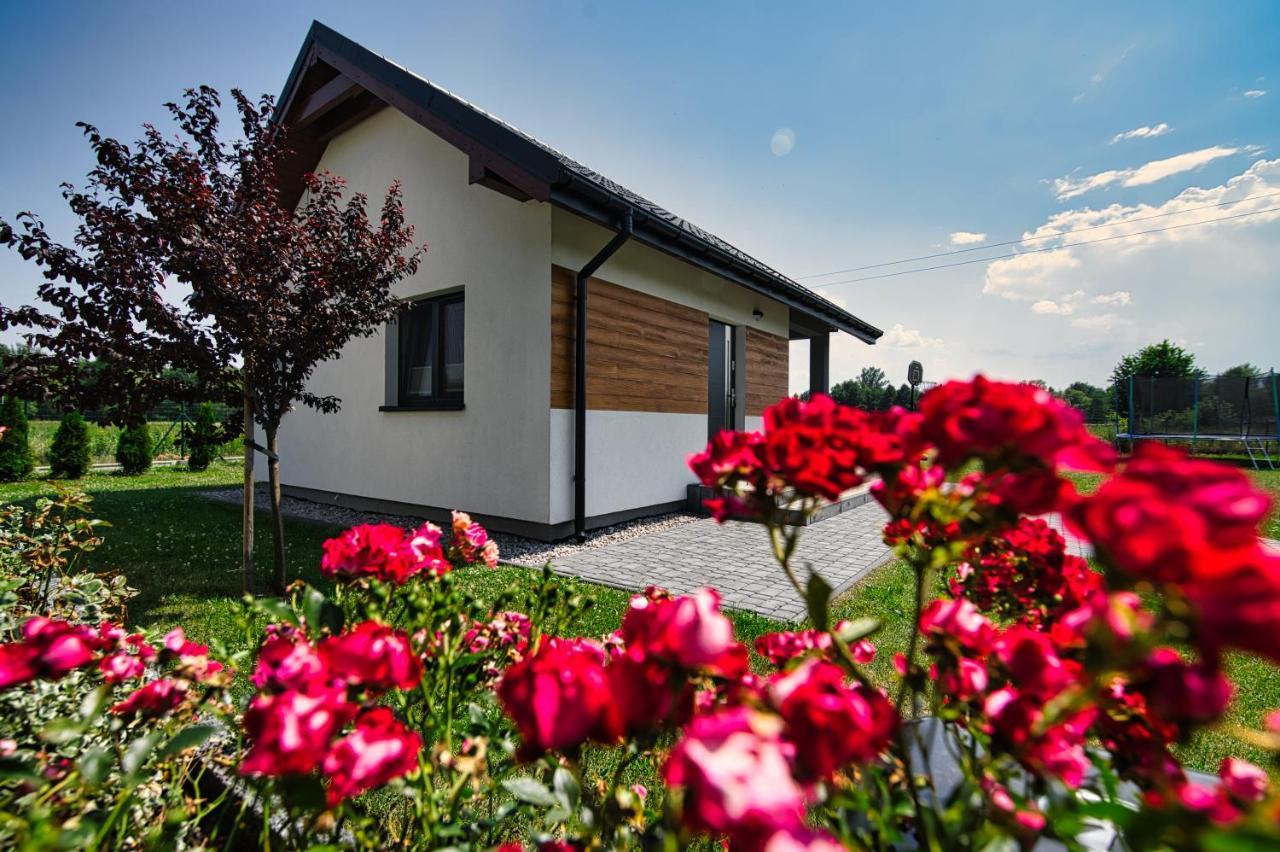 Apartment I U Basi *